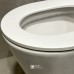 Toilet Michelle GE, Siphonic Flush